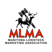 Manitoba Livestock Marketing Association Logo