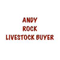 Andy Rock Logo