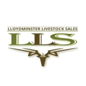 Lloydminster Livestock Sales Logo