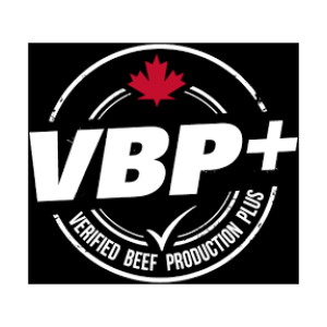 Verified Beef Production Plus Logo
