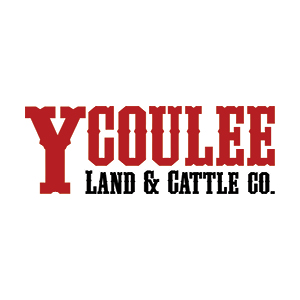 Y Coulee Land and Cattle Co. Logo