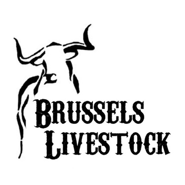 Brussels Livestock Brussels Livestock Logo