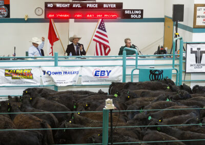 Casey Lawes participating in the 2025 Canadian Livestock Auctioneering Championship
