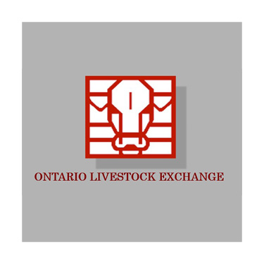 Ontario Livestock Exchange Ontario Livestock Exchange Logo