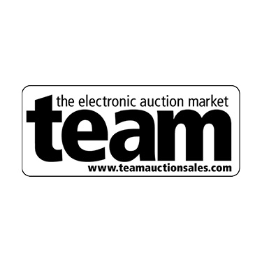 TEAM - The Electronic Auction Market TEAM - The Electronic Auction Market Logo