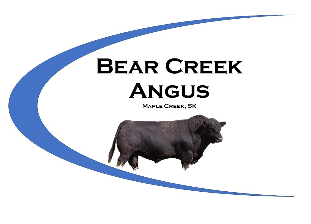 Bear Creek Angus Bear Creek Angus Logo