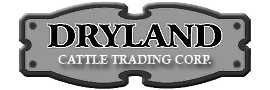 Dryland Cattle Trading Corp. Dryland Cattle Trading Corp. Logo