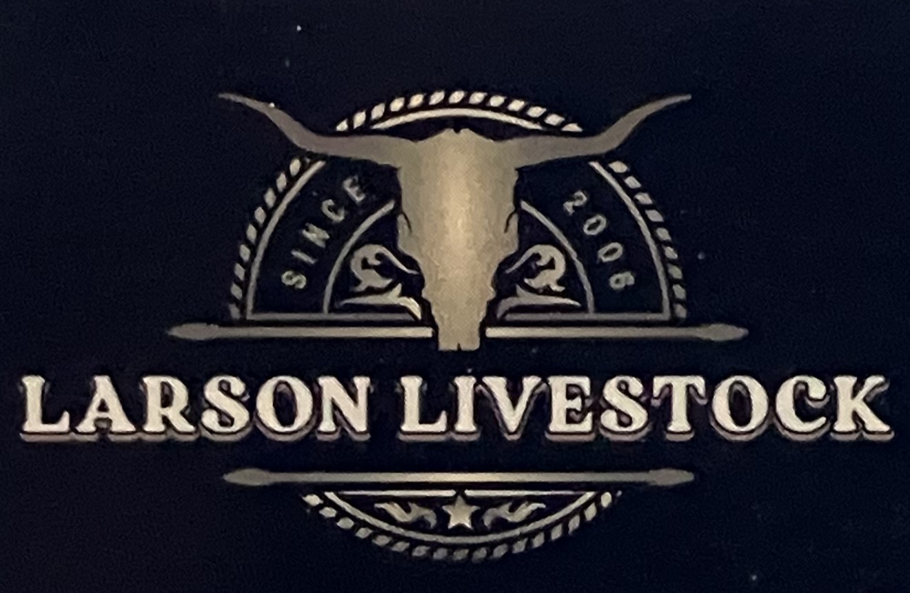 Brian & Jenn Larson Brian & Jenn Larson Logo