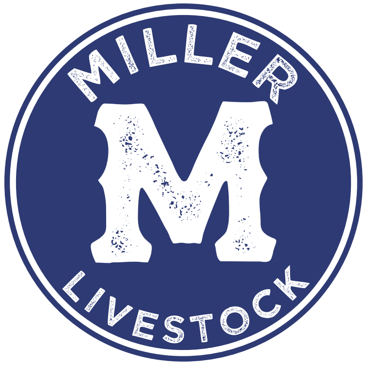 Miller Livestock Miller Livestock Logo