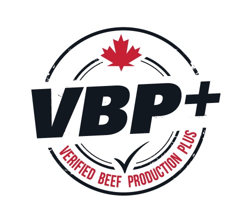 Saskatchewan VBP+ Saskatchewan VBP+ Logo